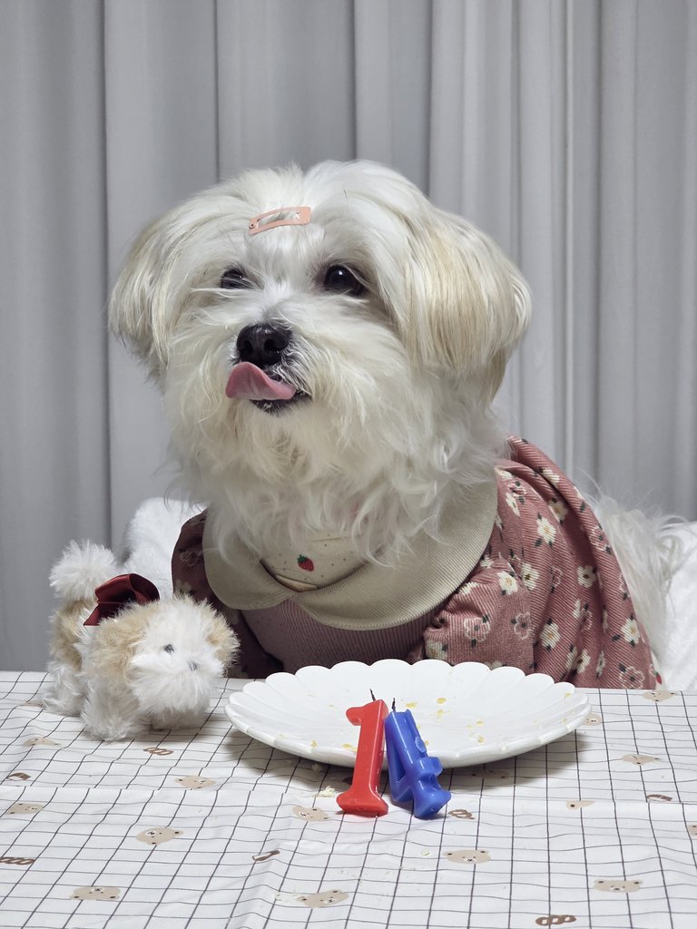 장세라세라🍚 tweet media