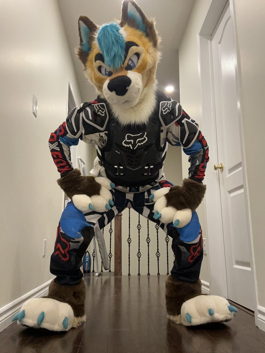 Hockey Pup - FE tweet media