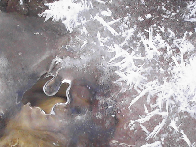 ඃᒁං ൠ tweet media