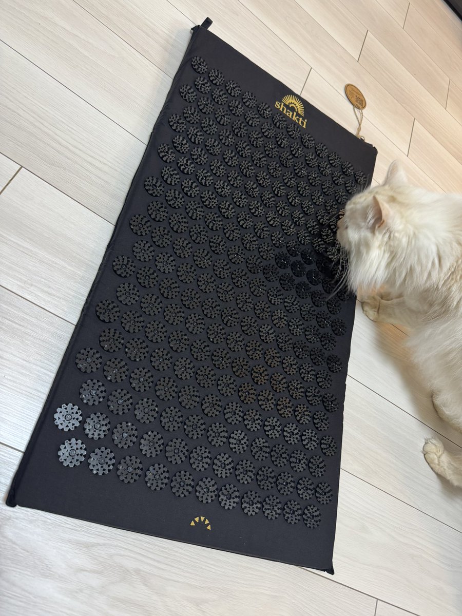 安藤さんに紹介されてシャクティマット買ったものの、 ⠀ ⠀ ⠀ そこ