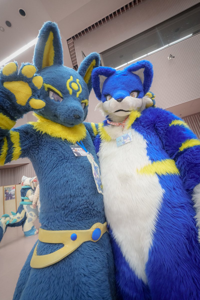 シロロン (@mofumofumugyuu) / Posts / X