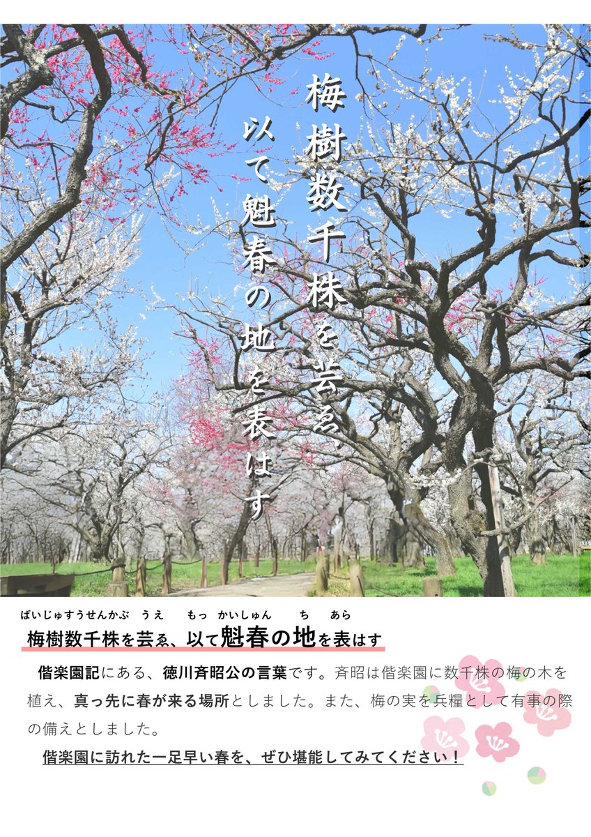kairakuen_ibrk's tweet photo. 🌸偕楽園2月イベント🌸
🔹水戸の梅まつり（2/11〜3/22）
🔹UME The Lights 2026（2/13〜3/15の金土日祝限定 18:00〜）
春の訪れを感じる催しが満載です！
👇詳細はこちら
https://t.co/2yeDdSwyyT
https://t.co/yFkvMbpEtY https://t.co/WAY3GUuJqO