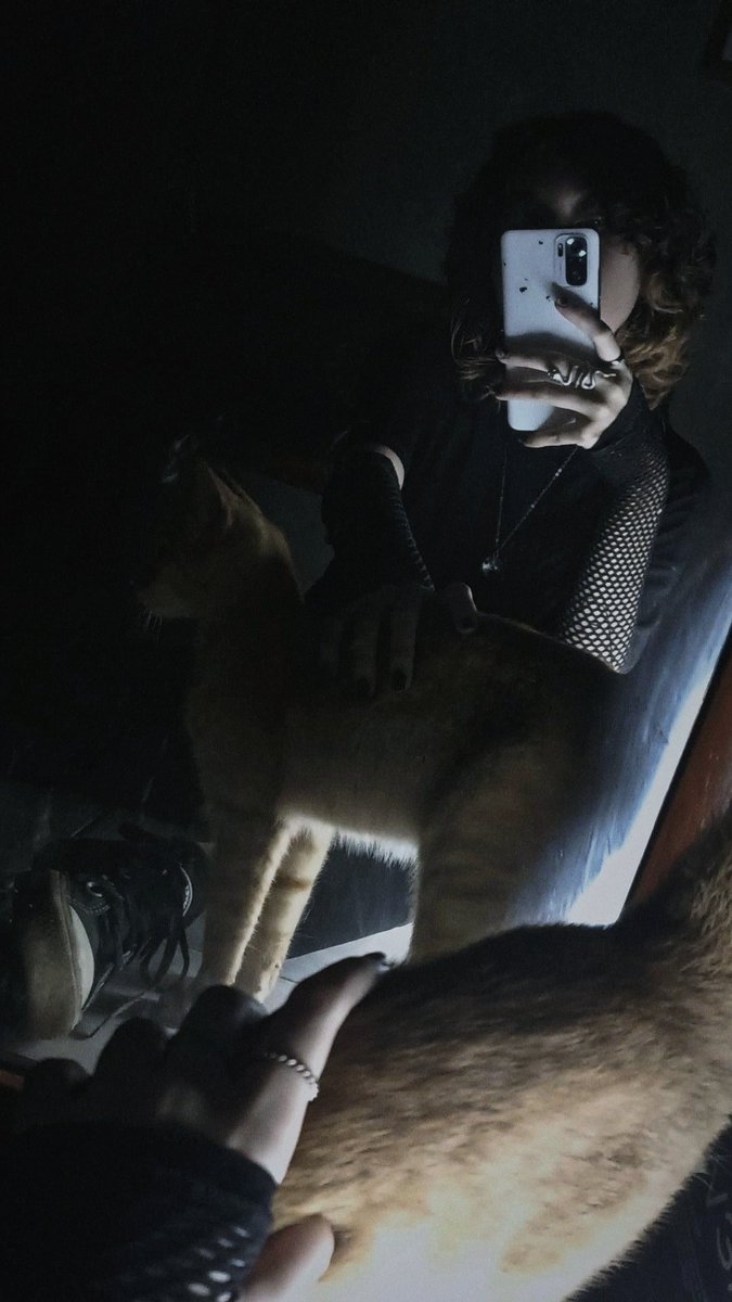 Nymeria ✨ tweet media
