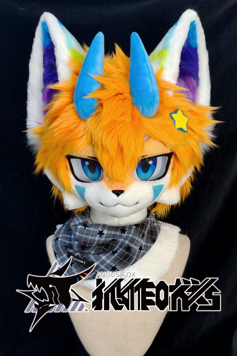 🦊_Angus tweet media