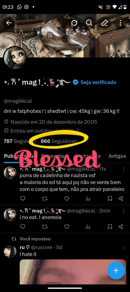 ⋆. 𐙚 ˚ mag ! ִֶָ ࣪˖ ִֶָ🦌་༘࿐ tweet media