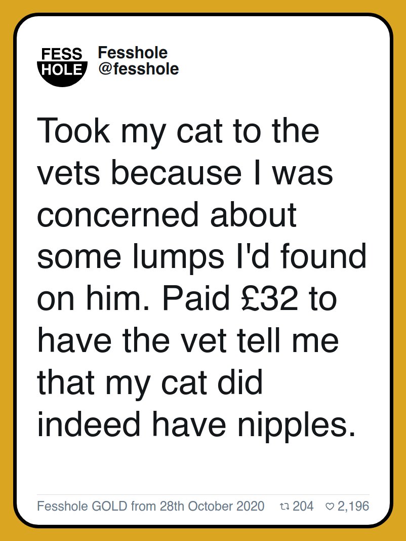 Fesshole🧻 tweet media