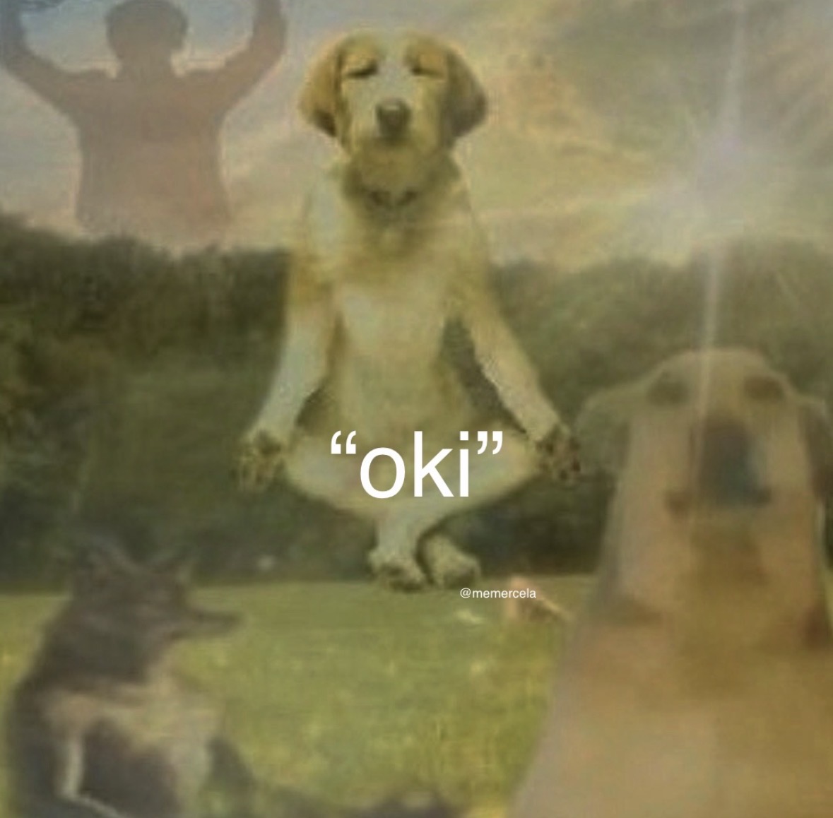 raccoon aesthetic. (@raccoonesthetic) on Twitter photo 