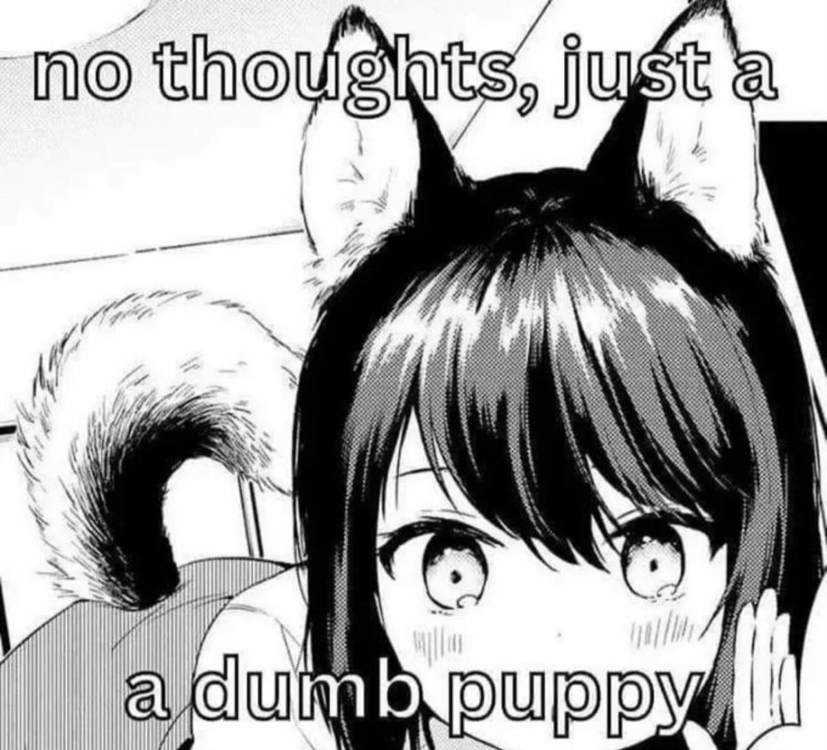 ★?♡ ✚! tweet media