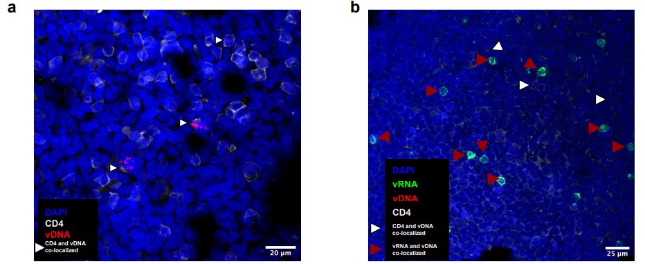 Waggoner Lab tweet media