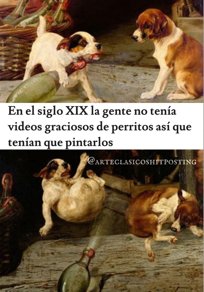 Dilo con perritos (@diloconperritos) on Twitter photo 