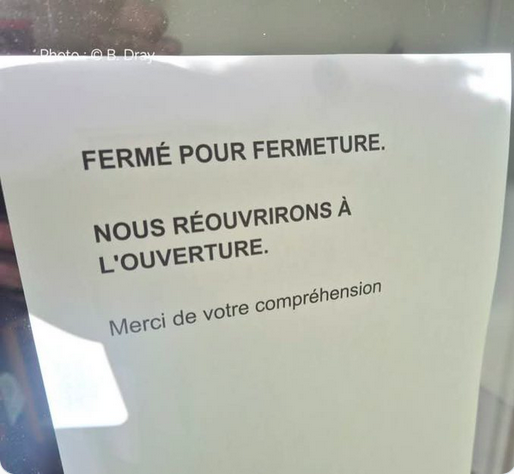 Sandra B. tweet media