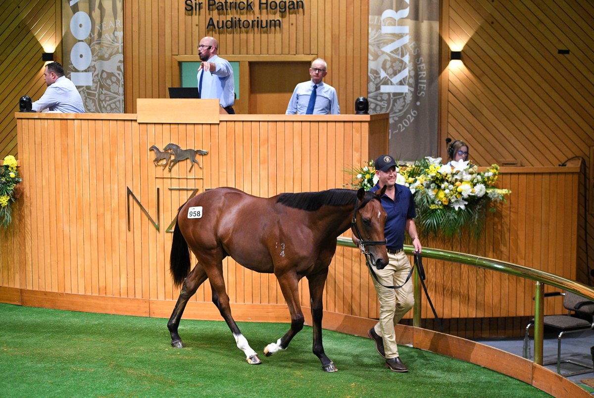 New Zealand Bloodstock tweet media