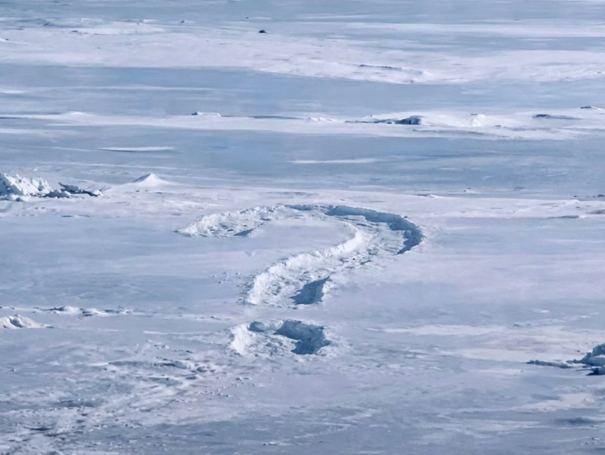 Cryptodiane's tweet image. FINALLY, it's time to launch our own token on SOLANA!

Ticker: TBH

10% of the TOTAL SUPPLY will be AIRDROPPED equally among all the wallets below, just interact and drop your SOL addresses.