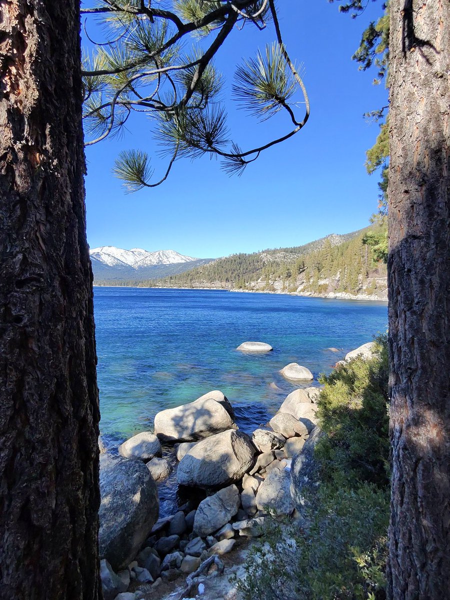 Ivan Riv (@riveraivan_ivan) on Twitter photo 