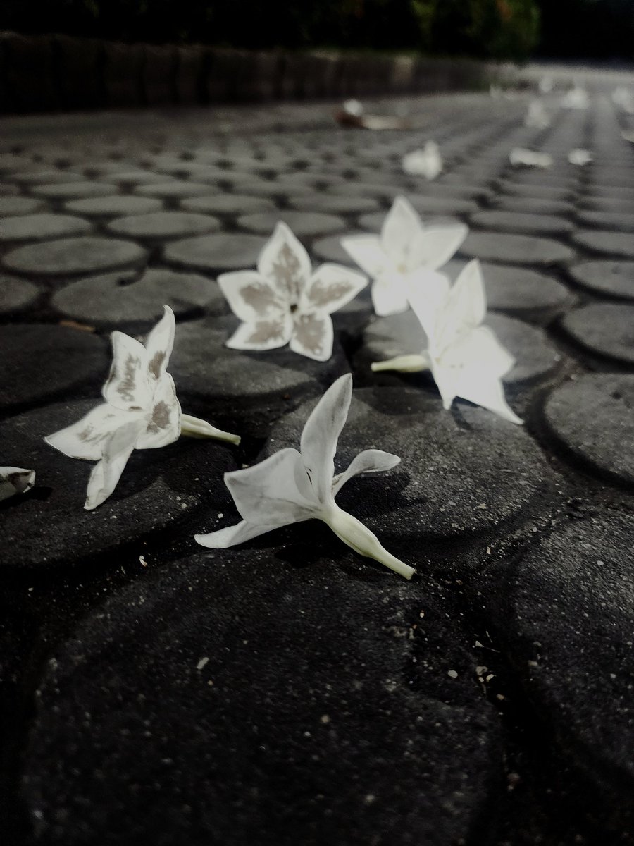 เวลาที่มีคำถามว่า 
ทำไมไม่หางานทำ ? ได้แต่ยิ้มอ่อน แล้วตอบแบบไม่มีเสียงว่า "หาแล้ว ทำทุกอย่างแล้ว แต่มันยังไม่ได้ มาลองเป็นเราสักวันไม จะได้รู้ว่าพยายามมากแค่ไหน แค่เราไม่บอก ไม่พูด ไม่ได้หมายความว่าเราหยุดนะ" และตอบว่า กำลังหาค่ะ 😅
-เหนื่อยโน๊ะ เหนื่อยจริงๆ แล้ว-