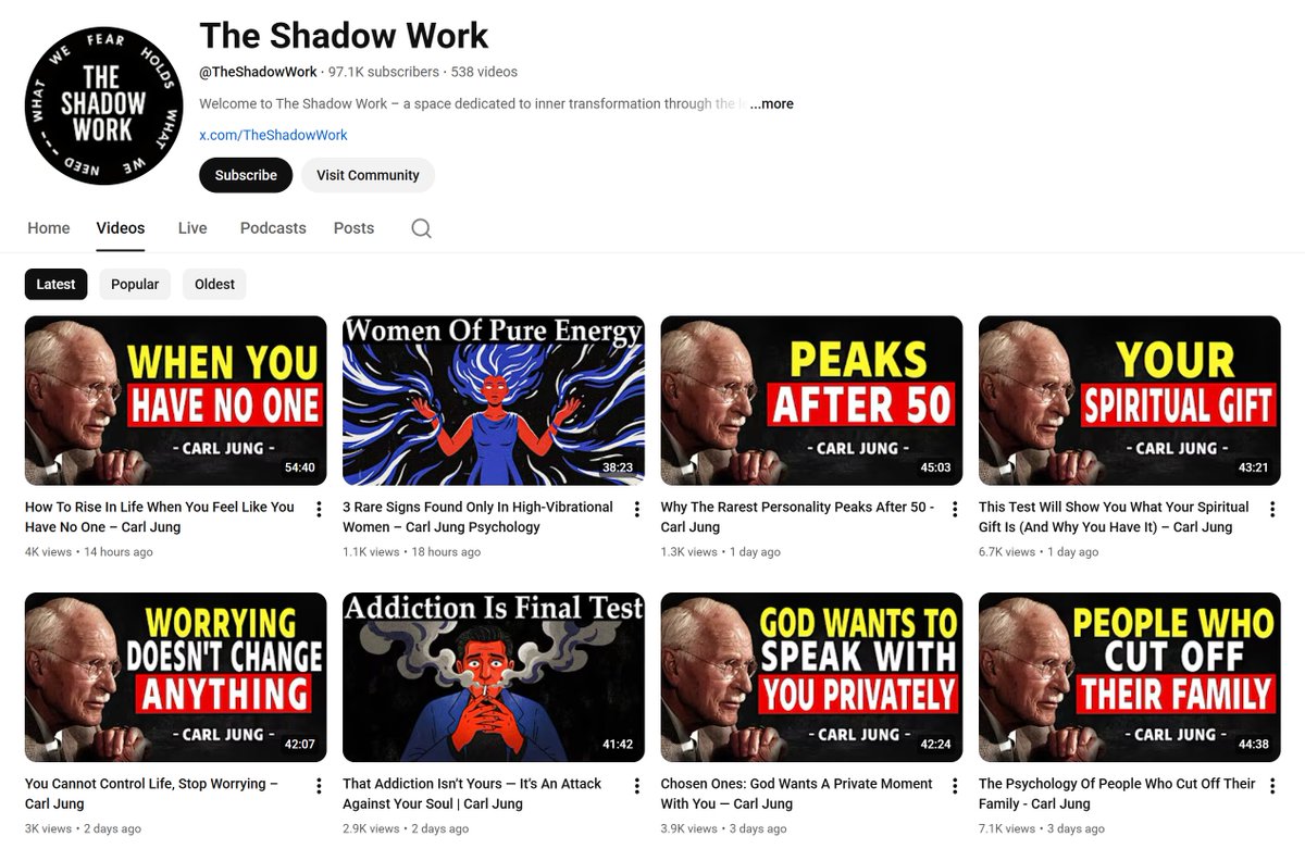 The Shadow Work tweet media