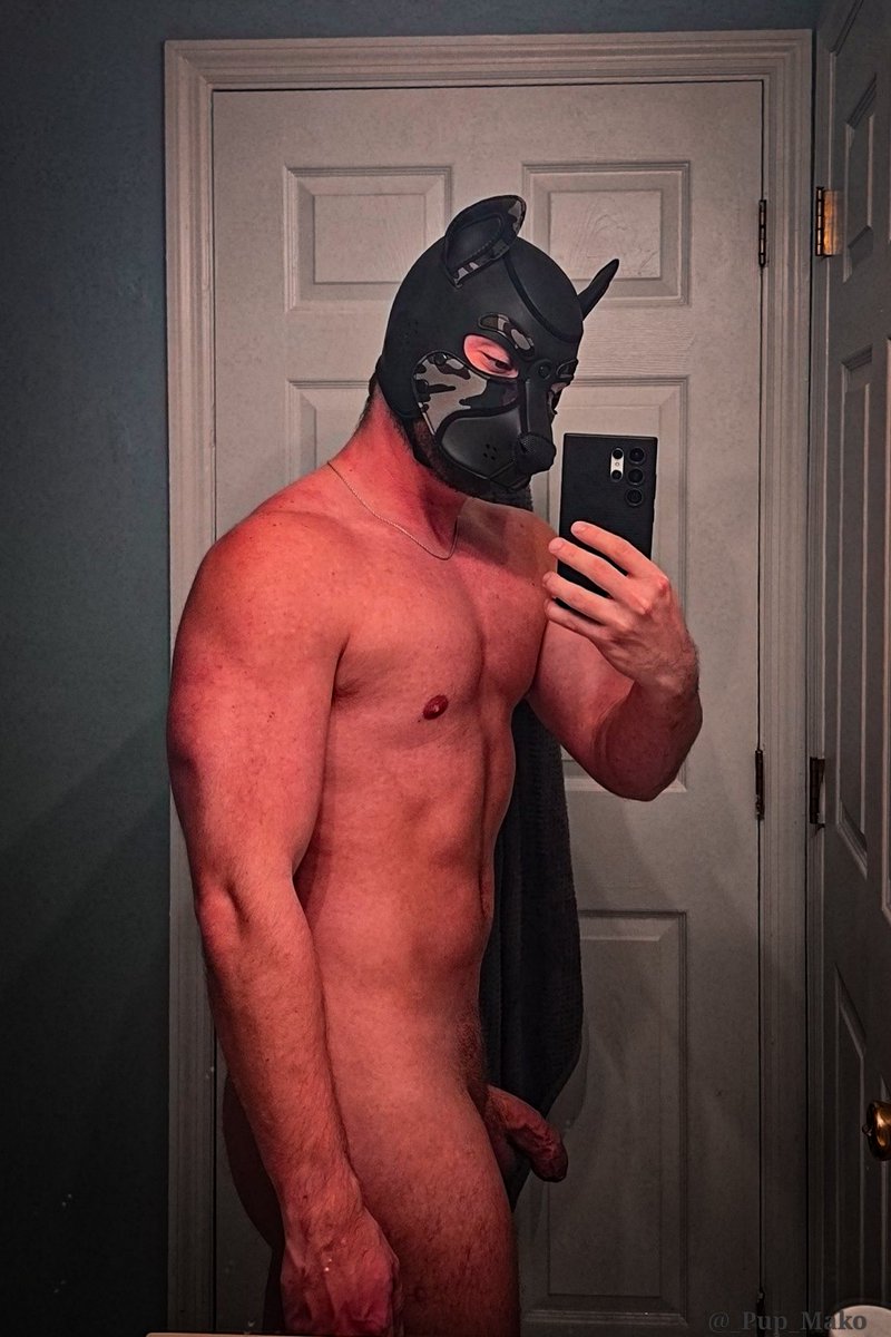 Pup Mako tweet media