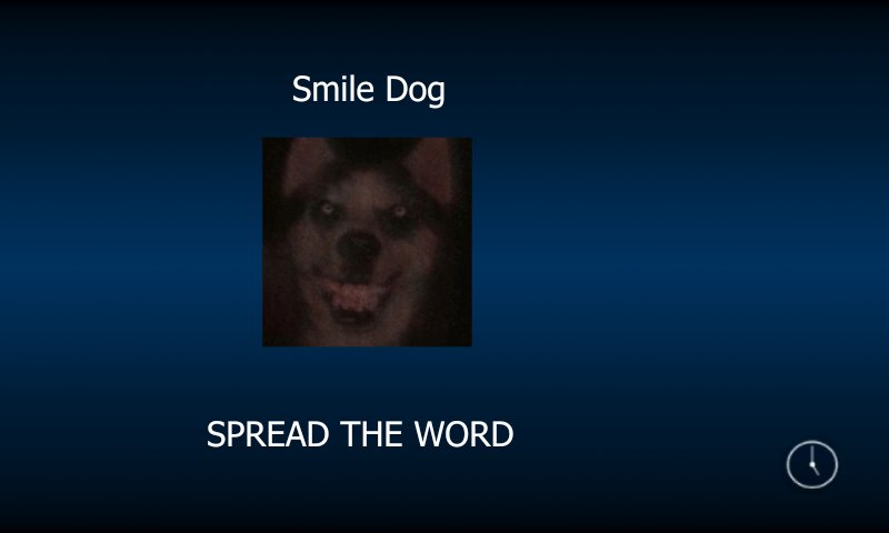 Smile Dog tweet media