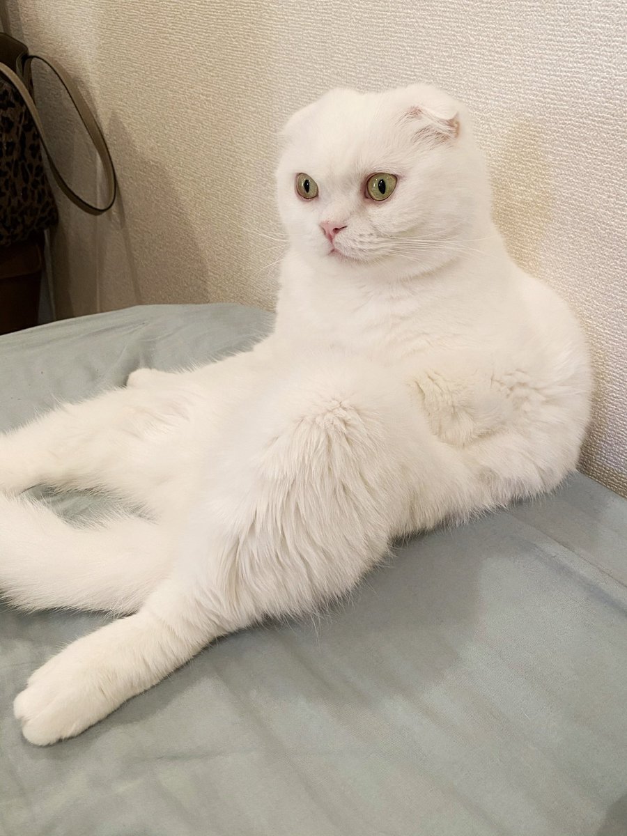 膝立てて休んでる