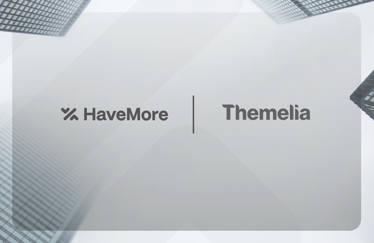 HaveMore tweet media