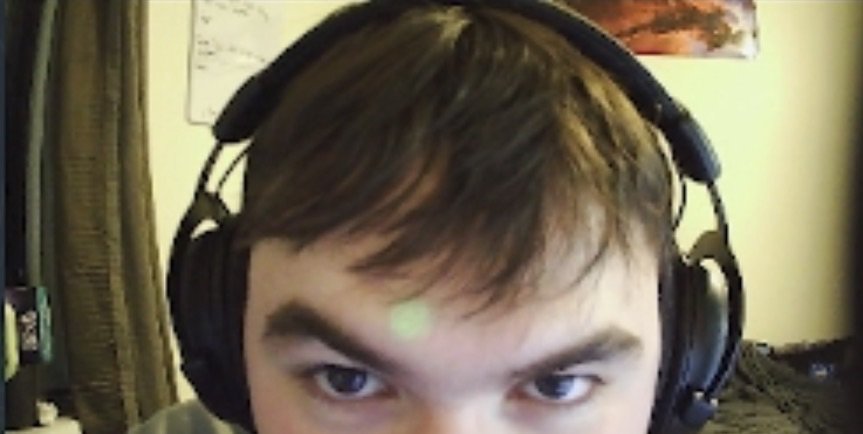 FalsePhoenix tweet media