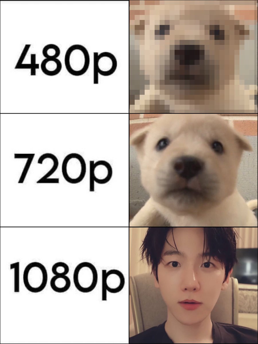 봄 (@spring56h) on Twitter photo 