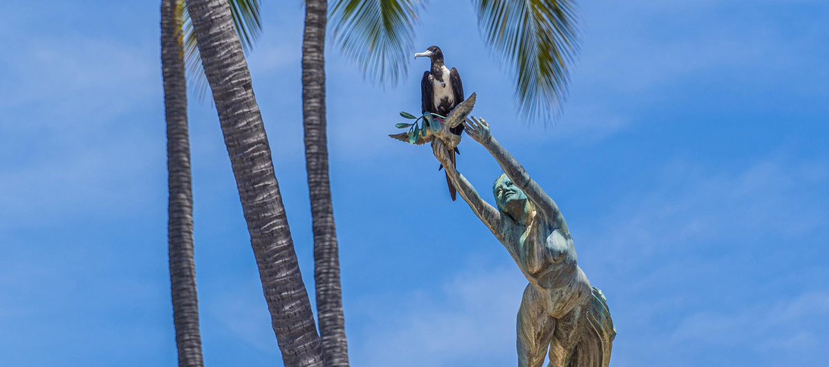 Just a funicular ride from Pinnacle Resorts, The Swedes Bar &amp; Bistro serves up flavors that match our barefoot luxury vibe. Perfect spot for a laid-back night out in Puerto Vallarta. 🌴🍹

.
.
🔗 pinnacleresortspv.com/blog/pinnacle-…
.
#puertovallarta #luxuryresorts #pinnacleresorts