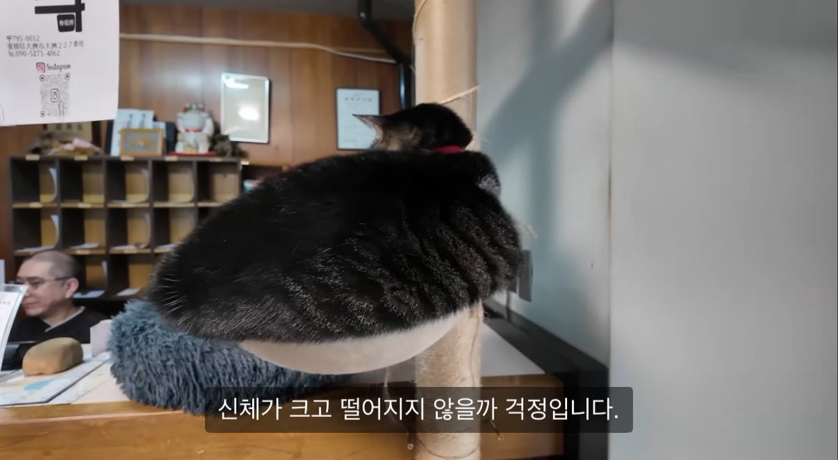 사회악인여자 (@suwwi2221) on Twitter photo 