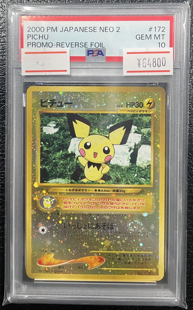 📢【入荷速報】📢 【PSA10】 💡ピチュー プレミアムファイルneo2