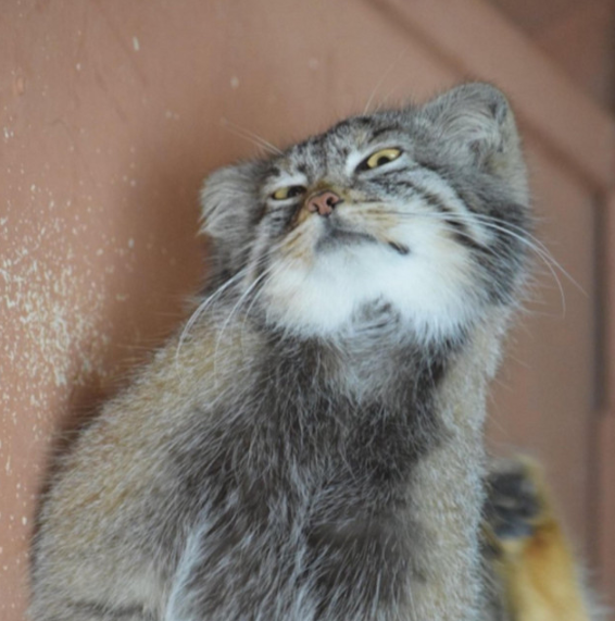 [New Release]

bankfloodmaebi [ <a href="/bankfloodmaebi/">GENIE OUT🇵🇸</a> ] &amp; one47 [ <a href="/worldbfreefan95/">tutuapp the album</a> ]  - skipping (EP)

Out now on all platforms.

music.apple.com/us/album/skipp…
soundcloud.com/bbmaebi/sets/b…
open.spotify.com/album/0zUfguMr…