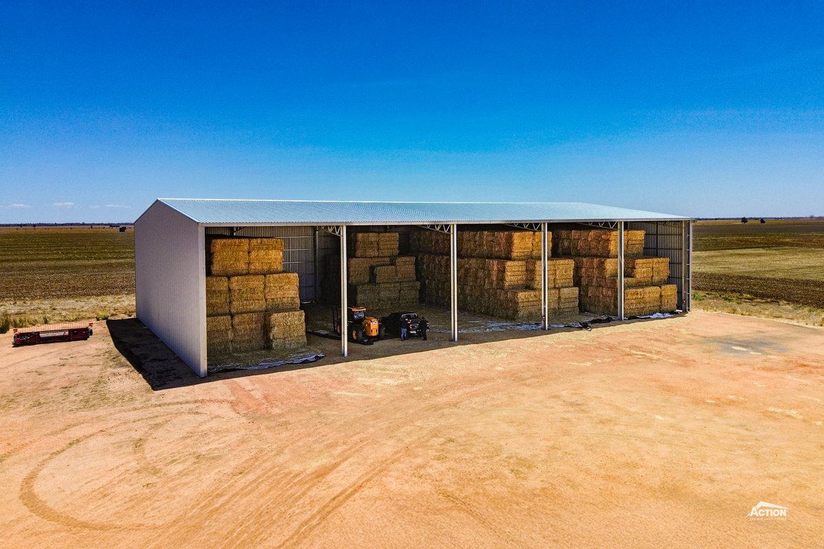 Action Steel tweet media