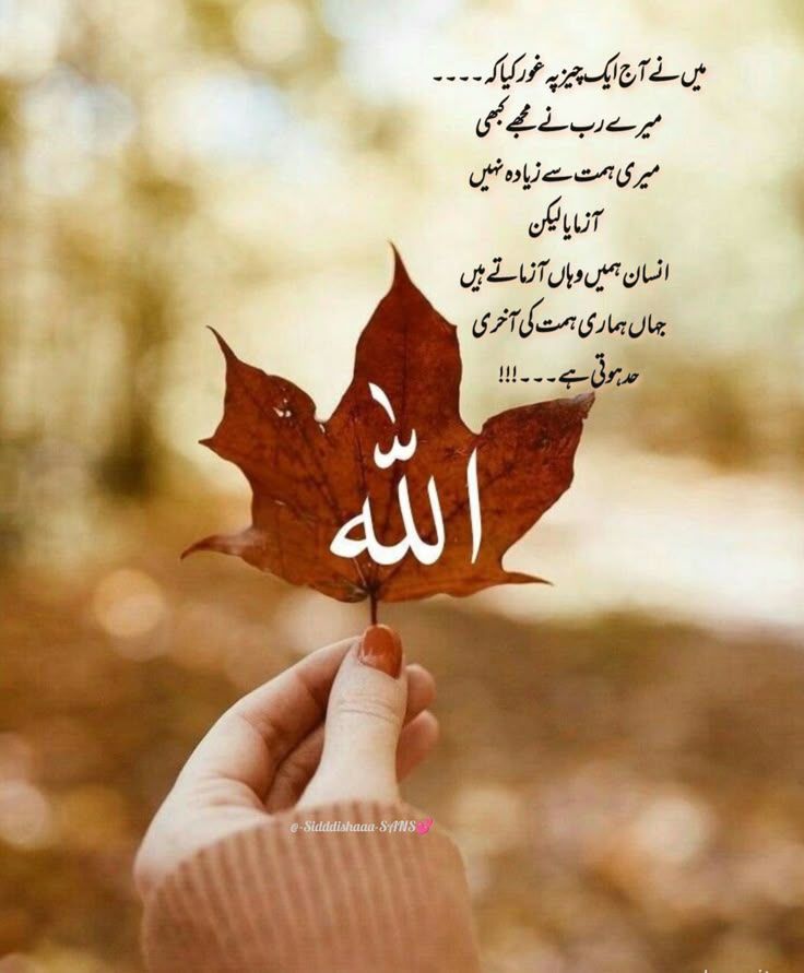 السلام علیکم ورحـمةالله وبركآته🍁

زندگی کے چیلنجز ہر کسی کے حصے میں نہیں آتے
 تقدیر بھی صرف اُسی کو آزماتی ہے جو اس کے لائق ہوتا ہے
مشکلات اُنہی کے راستے میں آتی ہیں جن میں سنبھلنے نکھرنے اور تاریخ بدلنے کی صلاحیت ہوتی ہے اور یہی آزمائشیں انسان کو اس کے اصل مقام تک پہنچاتی ہیں*