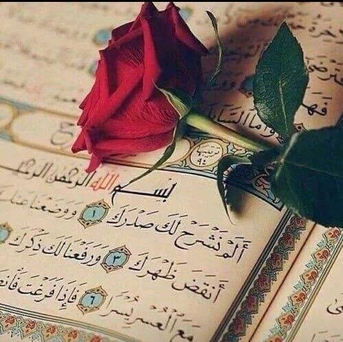 " UNUTULMAMASI  GEREKEN AYETLER ; 

_  Allah'a Sığın ( Fatiha 5 )
_  Kibirli Olma ( Nisa 36 ) 
_  Hak Yeme ( Bakara 188 )
_  Aklını Kullan ( Yunus 100 ) 
_  Dedikodu Yapma (Hucurat 12)
_  Adaletli Ol ( Maide  8 ) 
_  Güzel Konuş  ( İsra 53 )