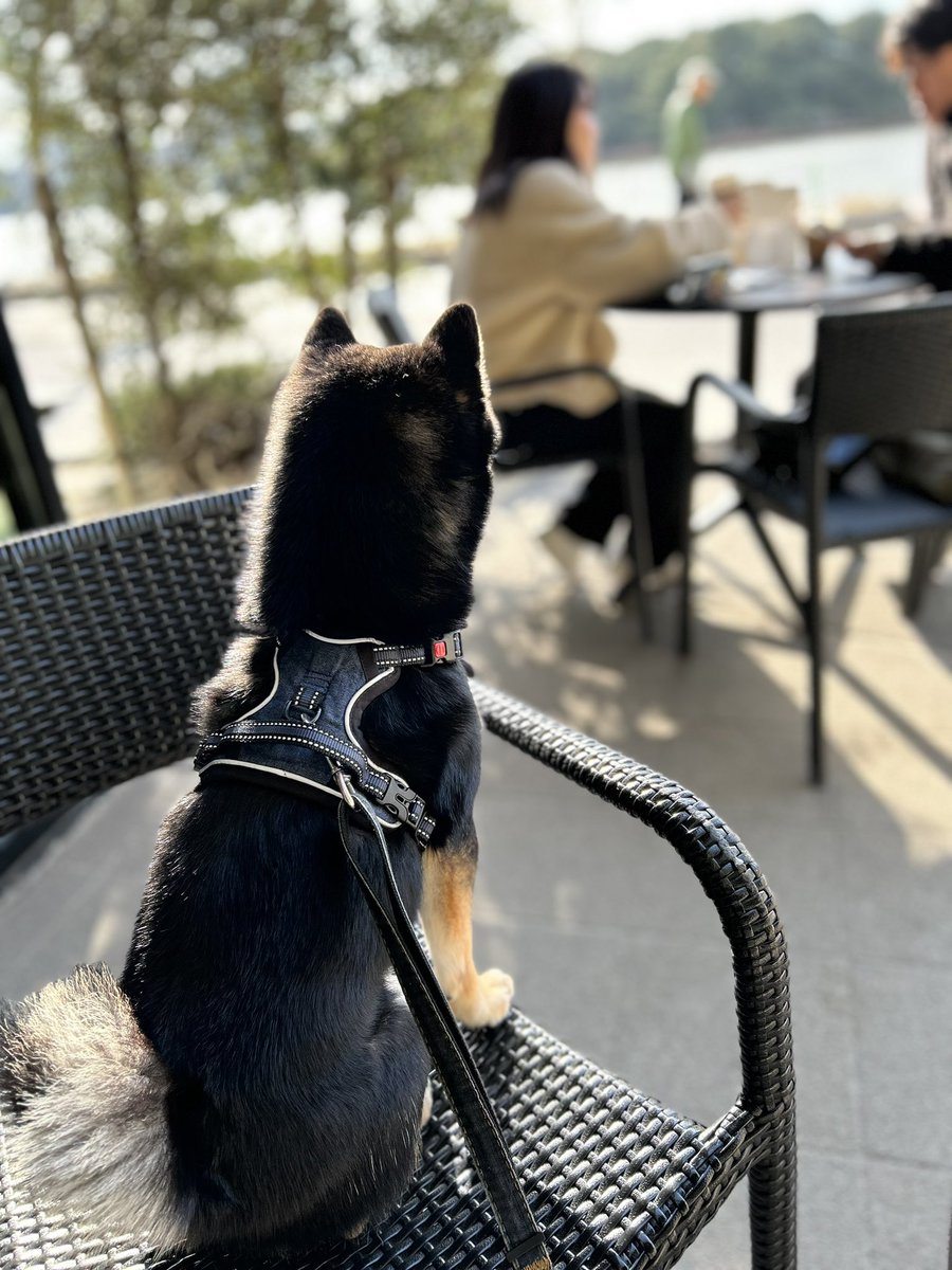 こんげん tweet media