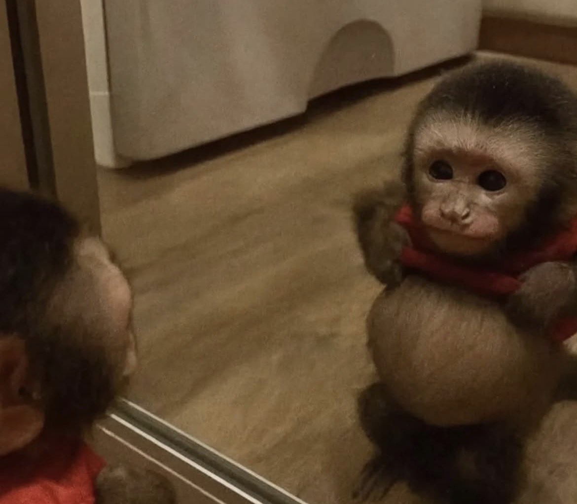 เอาหน่า