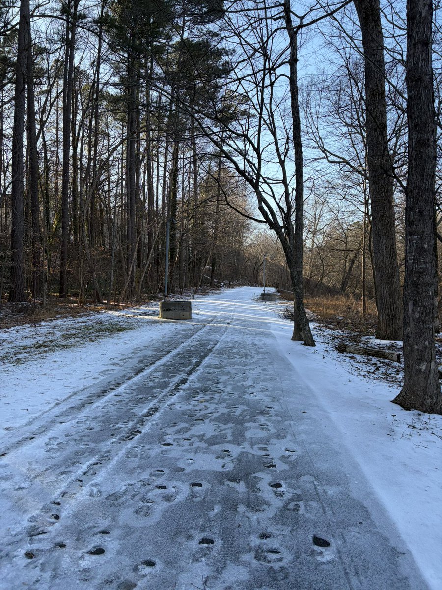 rare winter whimsy in north carolina this week