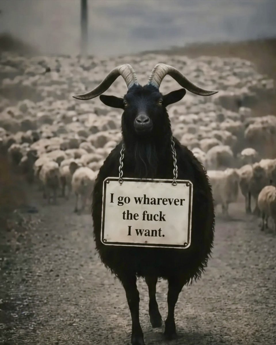 Mind Essentials (@mind_essentials) on Twitter photo 