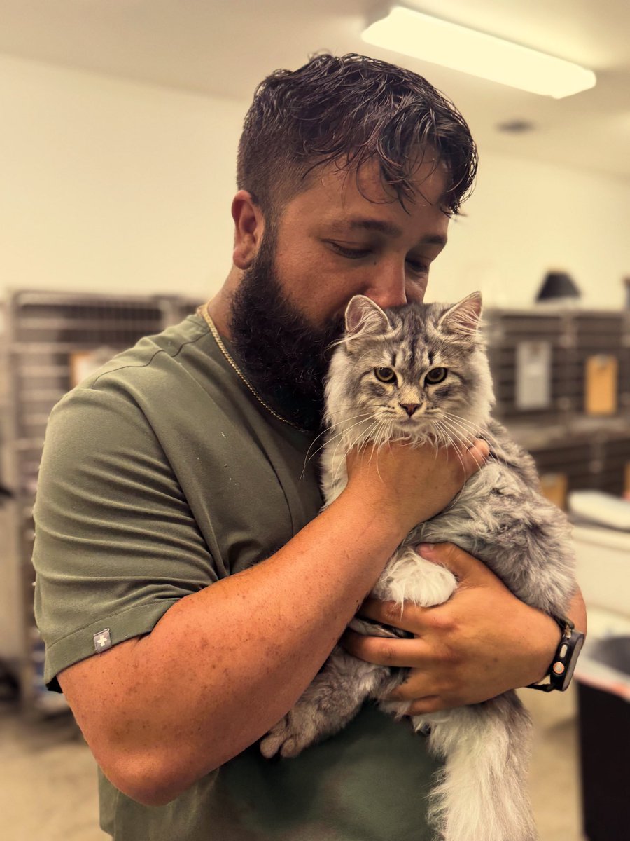 ✰ tyler ✰ tweet media