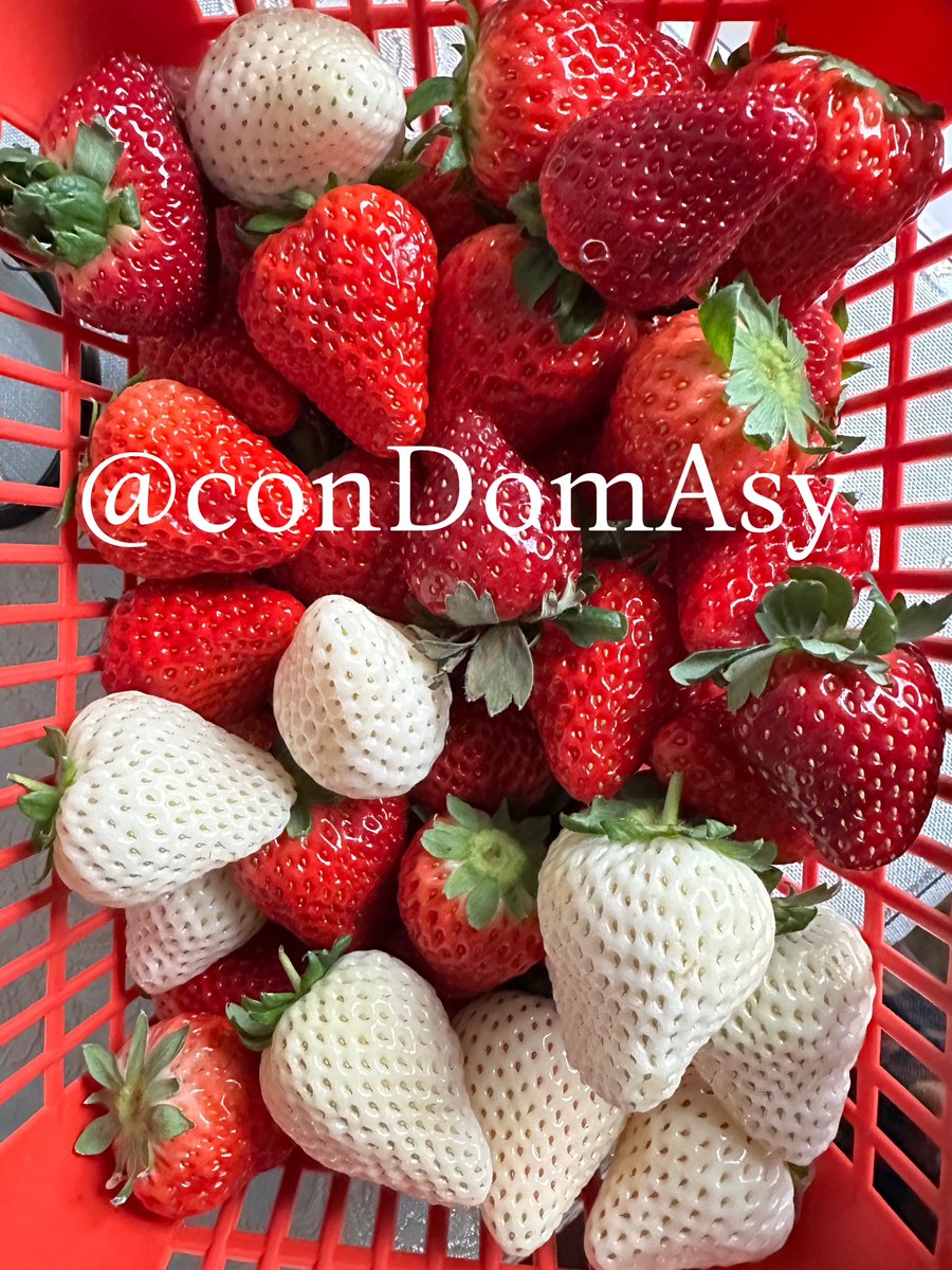 吃草莓的时候想到我之前想用寄吧捣🍓‘酱’来着.
或者🍅酱
🍉汁🍇汁