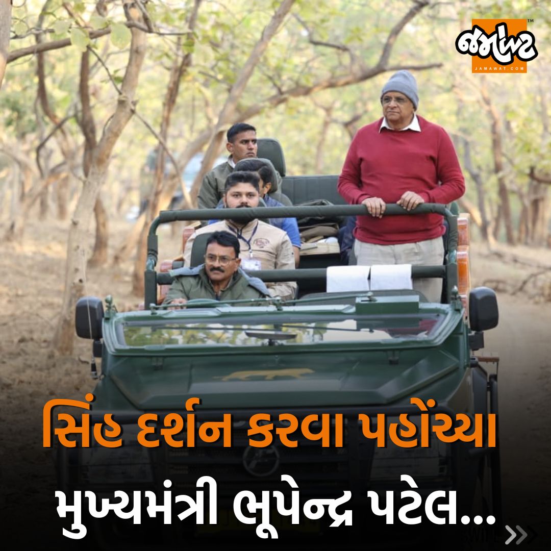 Jamawat3's tweet photo. વહેલી સવારે મુખ્યમંત્રી ભૂપેન્દ્ર પટેલે કર્યો જંગલ સફારીનો અનુભવ, સિંહ દર્શન કરવા પહોંચ્યા મુખ્યમંત્રી...
#Gir #Mornings #Amazing #JungleSafari #Gir #Lion #CM #BhupendraPatel #Simplicity #LionSafari #SasanGir #Sasan #Junagadh #Gujarat #India #News #Jamawat #JamawatUpdate https://t.co/bjeL940jDG