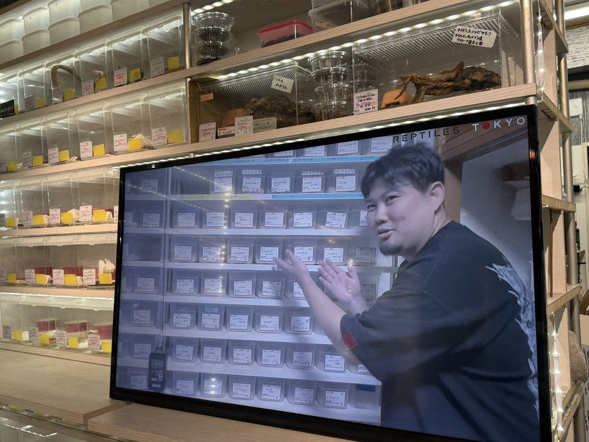 shintaro (@LE_shintaro) / Posts / X