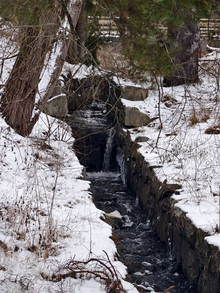 Sherringford56's tweet photo. #Walks in the nearby #Grimsta #NaturalPreserve Second pic the canal leading water to the old water mill. #Winter #snow #NaturePhotography #Stckholm 🇸🇪 https://t.co/nqKRzs5CJ2
