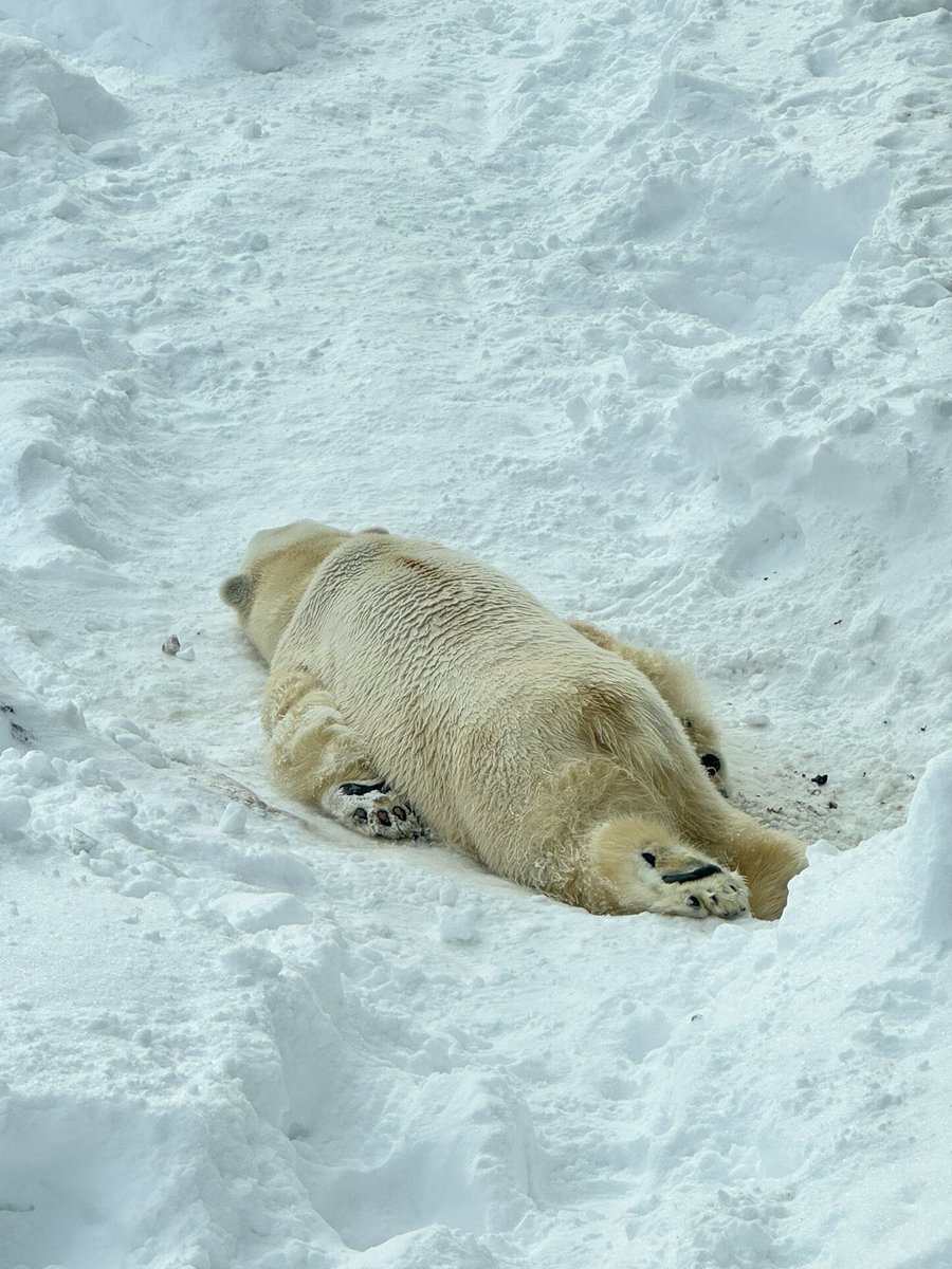 スーパーみずほ (@super_mizuho_tw) / Posts / X