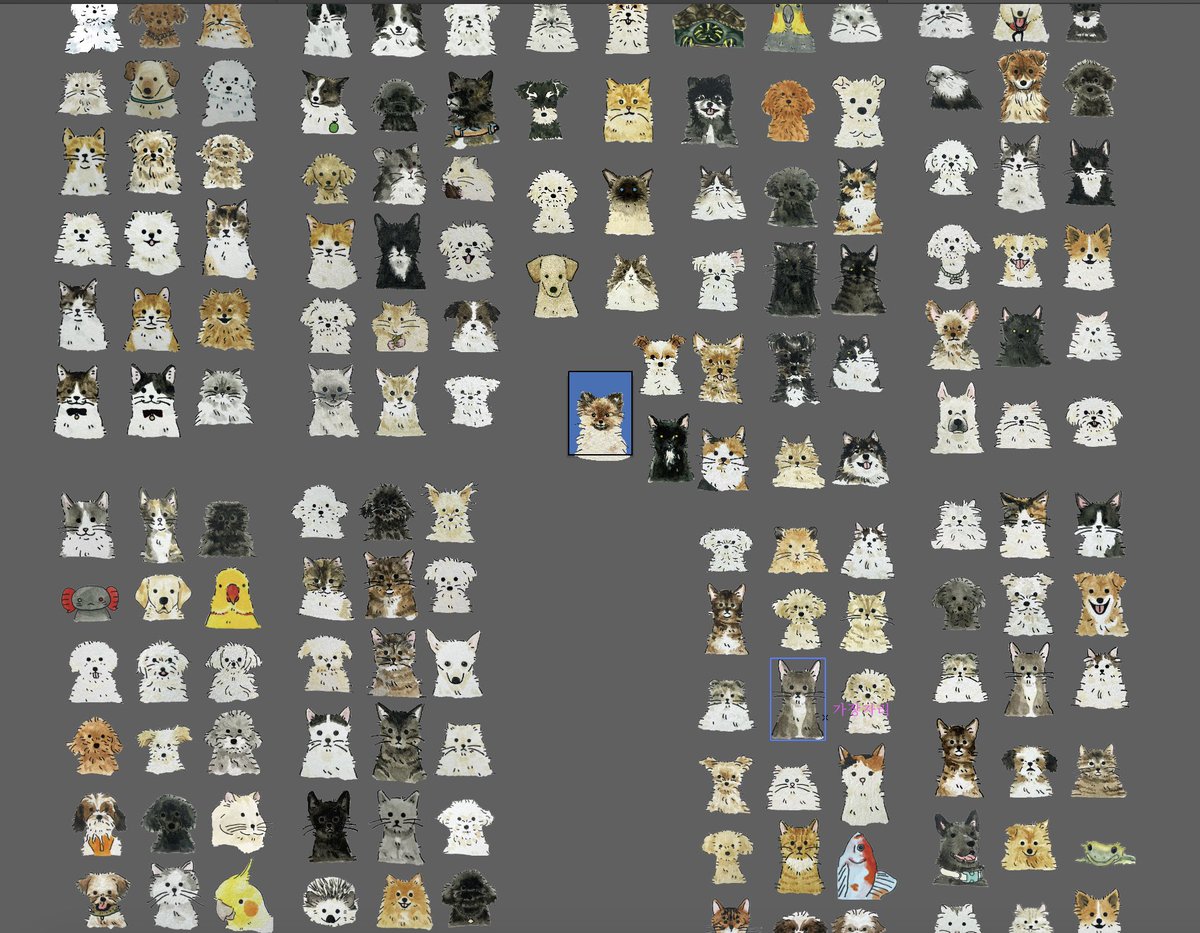 대략 1년간 참 많은 아이들을 만날 수 있어서 너무 즐겁고 행복했던 증명사진 작업을 오랜만에 모아보앗어요