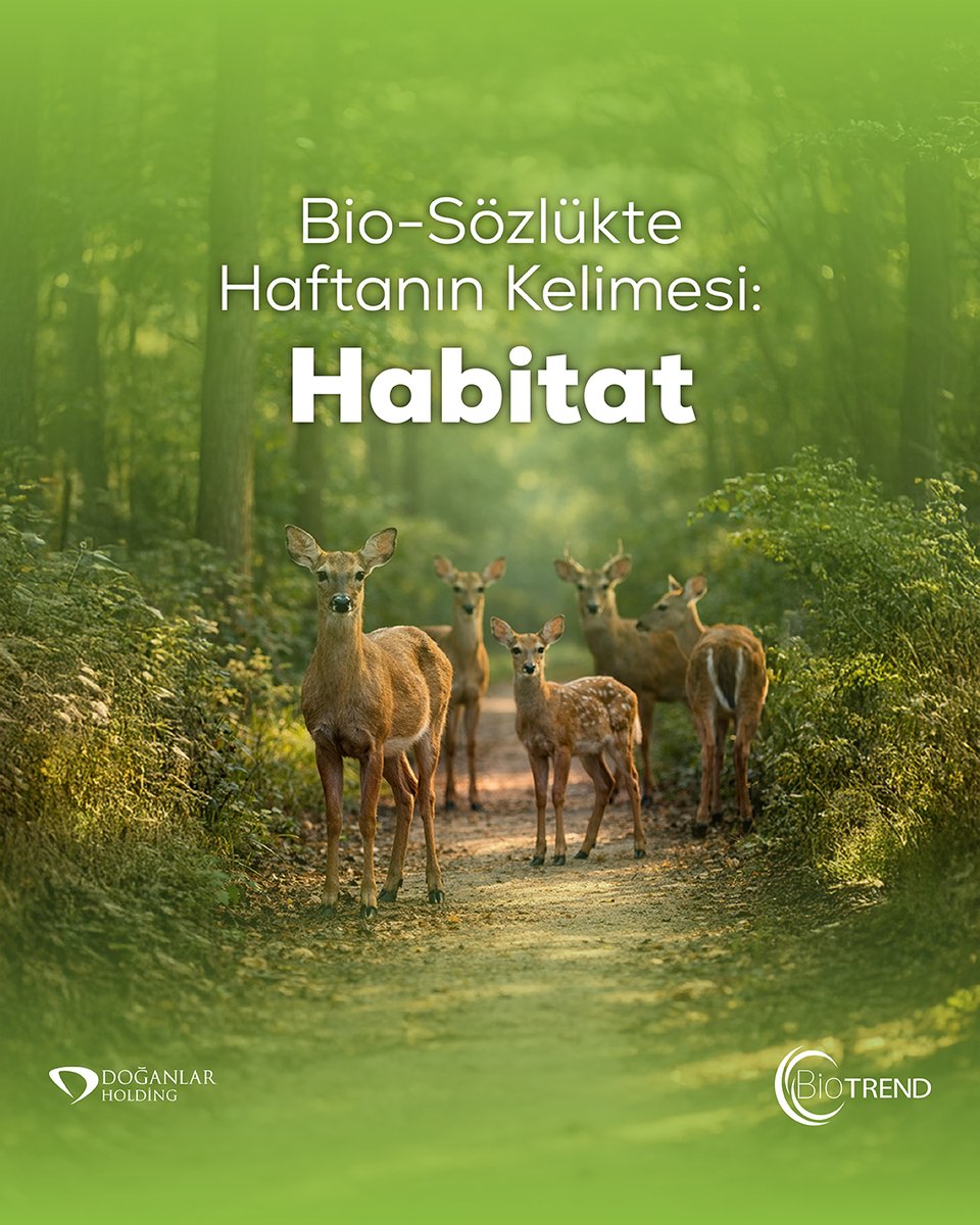 BİOTREND tweet media