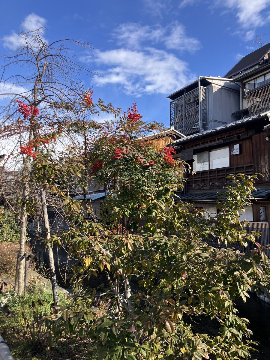 hatchgionbc's tweet photo. 文学スナック『#懶惰』@gion_randa 扉外『#京都 #祇園 文学間借り店』に、29日現在『#ハンケイ5m』『#ペンギン・ポスト』『#あいうえおぶせ』『#ケッサク』『#さざなみ』『#ららんぐ』『#hesso』『#バッテラ』『#VIVAYOSHIDA』『#NAMI通信』を追加設置⁣
⁣
京都観光ついでに是非。 https://t.co/PSmCgG1Rlc
