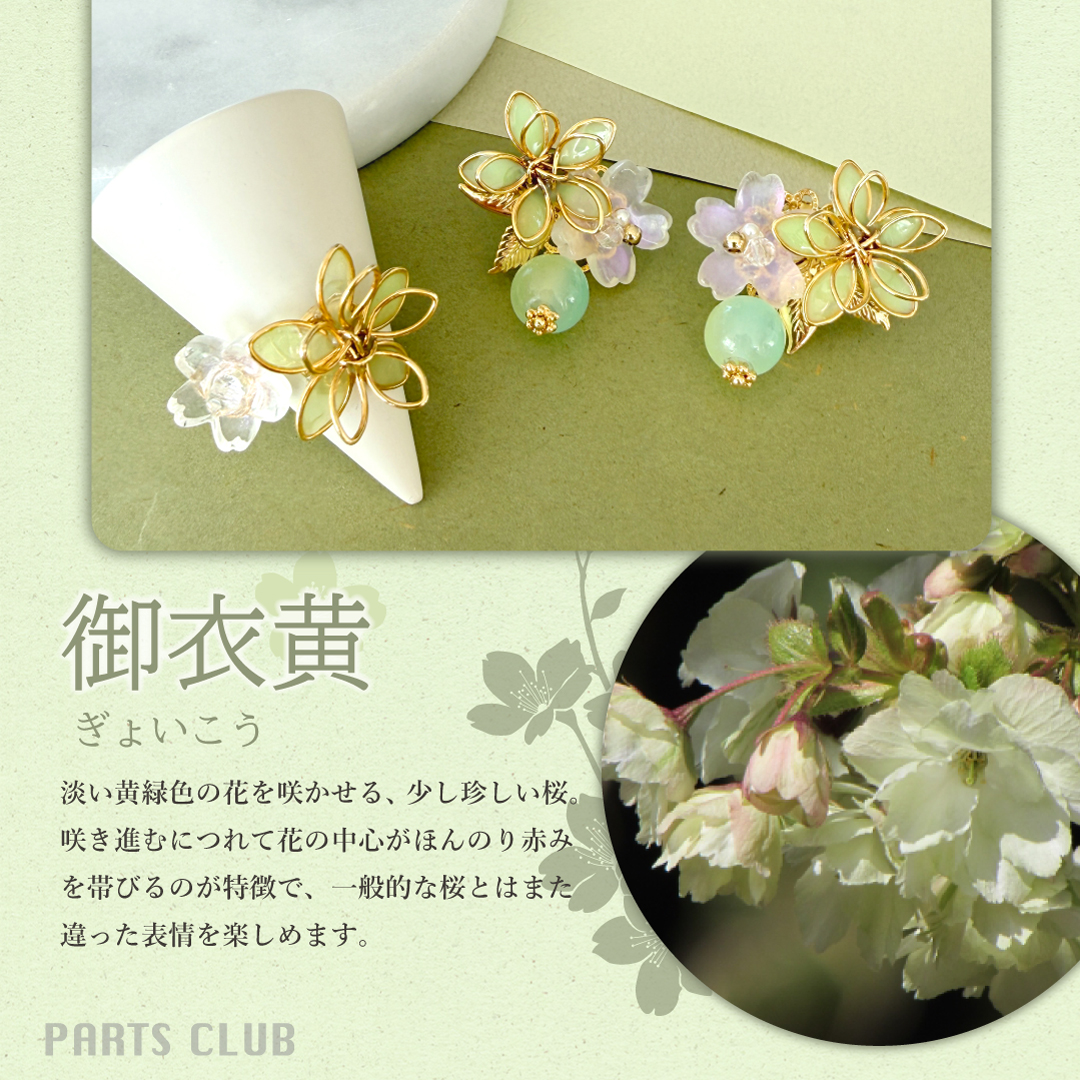 桜は、ひとつの色だけじゃありません。 可憐なピンクの桜、 月明かりに