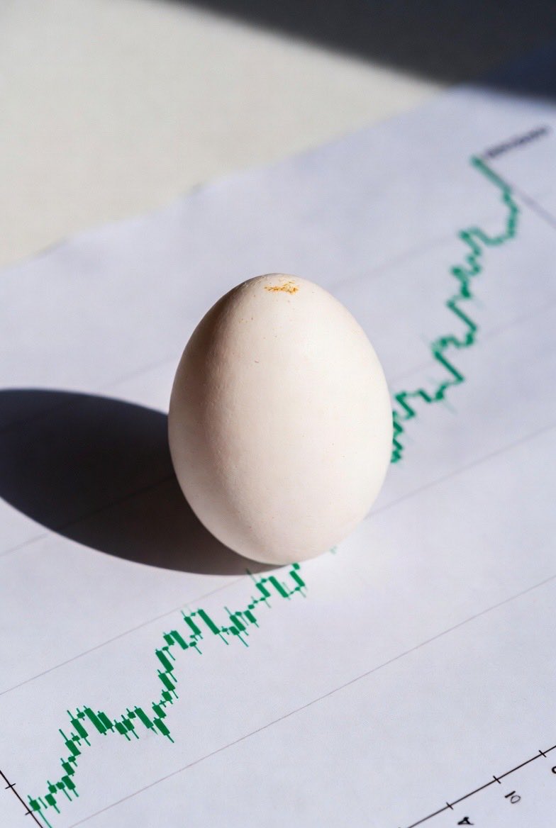 Eno4412's tweet photo. $THEEGG 

MC TO 4 M https://t.co/qTbMV4dBSS