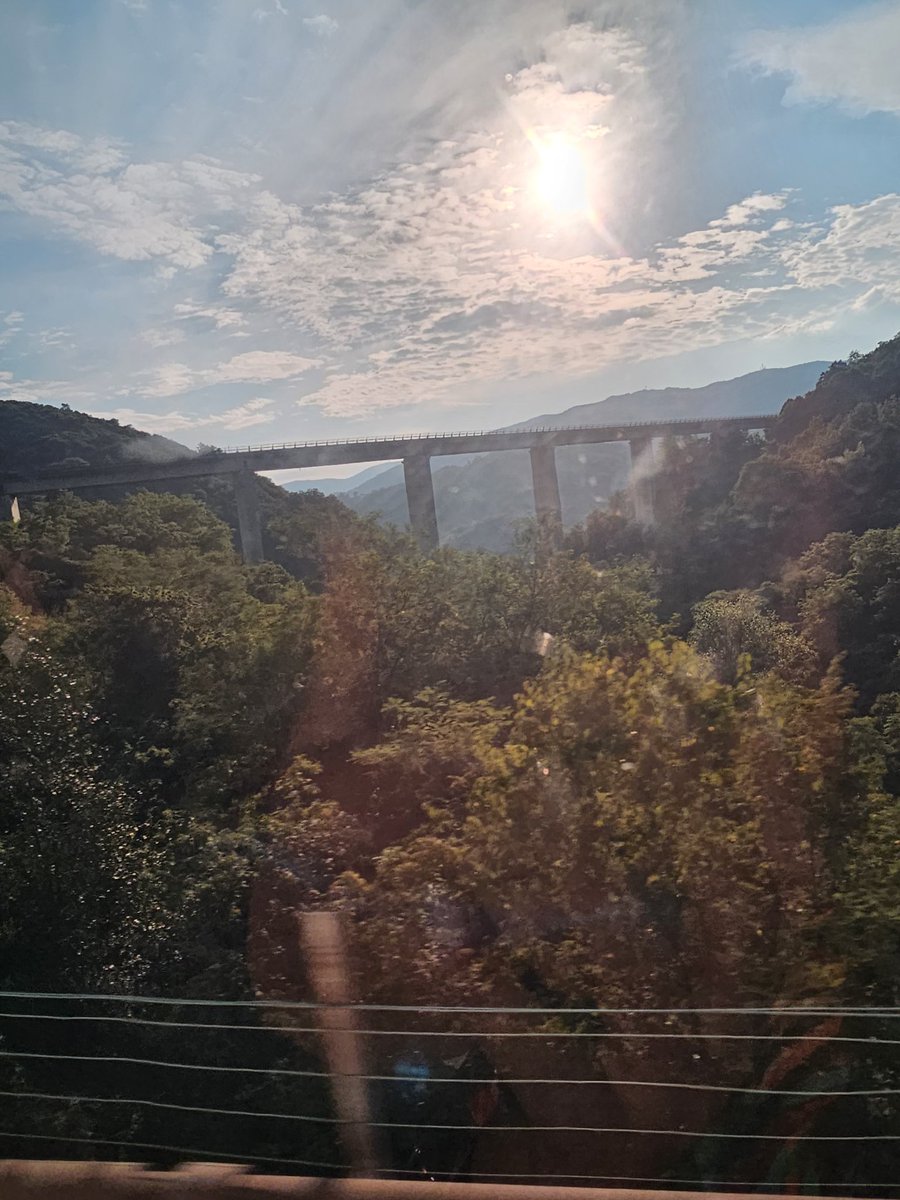 Günaydın iyiler, gönlünüzce bir gün olsun 🍀🐞🦋☕️🙋‍♀️