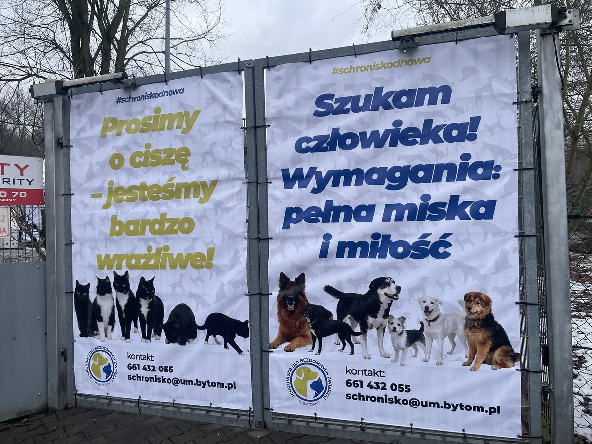 Schronisko w Bytomiu, od którego zaczął się temat walki z patoschroniskami, powoli wraca do funkcjonowania.